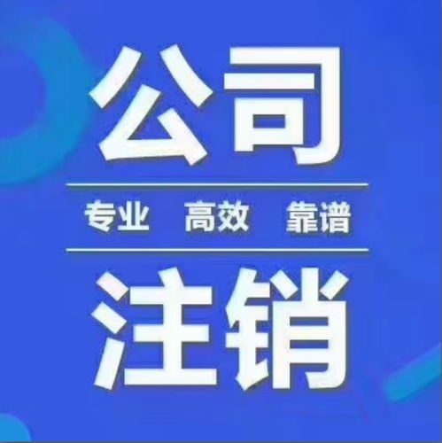 坪山外资公司退税服务好 申请流程